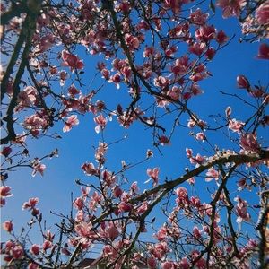 Meet your Posher, Emmaline